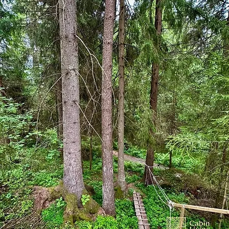 Holiday home Close To Nature Cabin, Sauna, Oyeren View, Oslo Vicinity *