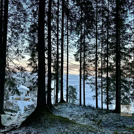 Close To Nature Cabin, Sauna, Oyeren View, Oslo Vicinity 度假居 Hektner