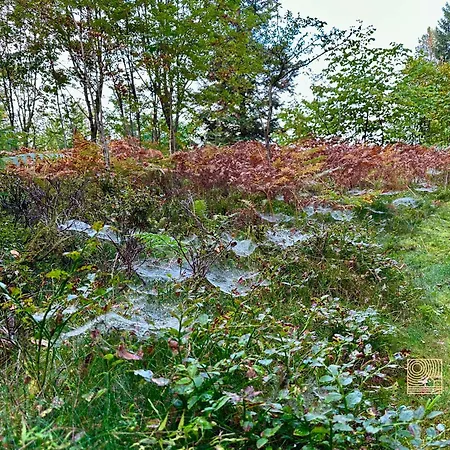 Close To Nature Cabin, Sauna, Oyeren View, Oslo Vicinity *