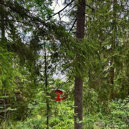 Close To Nature Cabin, Sauna, Oyeren View, Oslo Vicinity Hektner