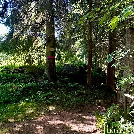 Close To Nature Cabin, Sauna, Oyeren View, Oslo Vicinity
