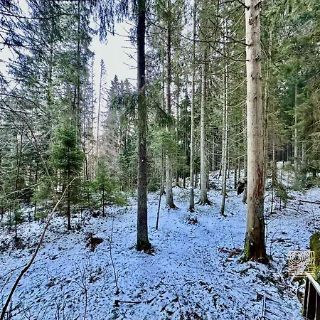 Ferienhaus Close To Nature Cabin, Sauna, Oyeren View, Oslo Vicinity Hektner