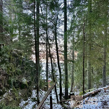 Close To Nature Cabin, Sauna, Oyeren View, Oslo Vicinity Ferienhaus